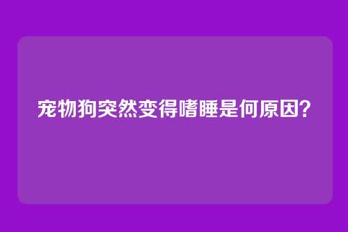 宠物狗突然变得嗜睡是何原因？