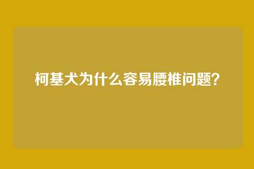 柯基犬为什么容易腰椎问题？