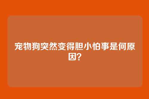 宠物狗突然变得胆小怕事是何原因？