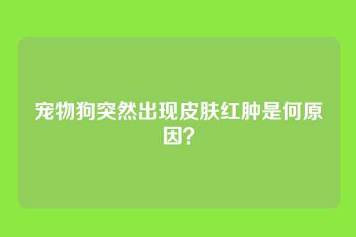 宠物狗突然出现皮肤红肿是何原因？