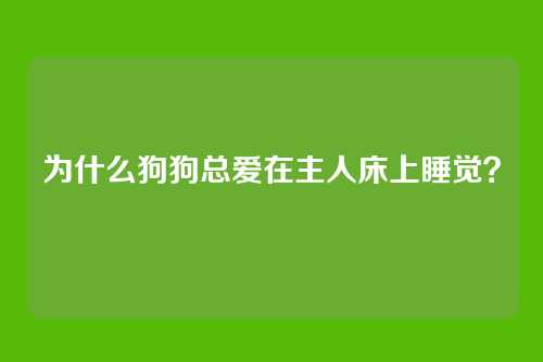 为什么狗狗总爱在主人床上睡觉？