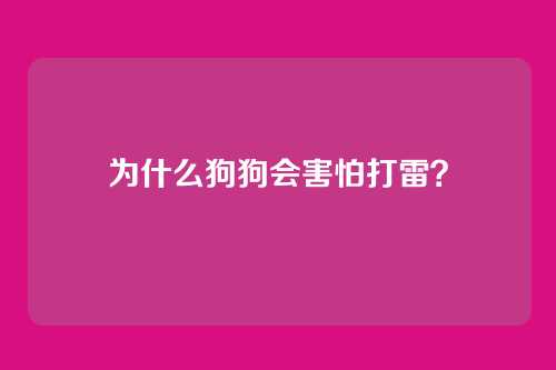 为什么狗狗会害怕打雷？