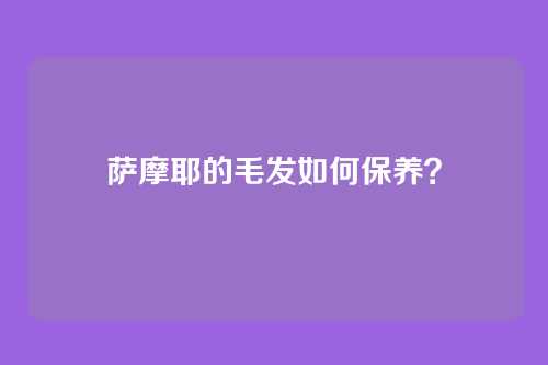 萨摩耶的毛发如何保养？