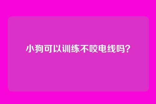 小狗可以训练不咬电线吗？