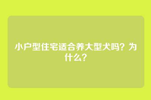 小户型住宅适合养大型犬吗？为什么？