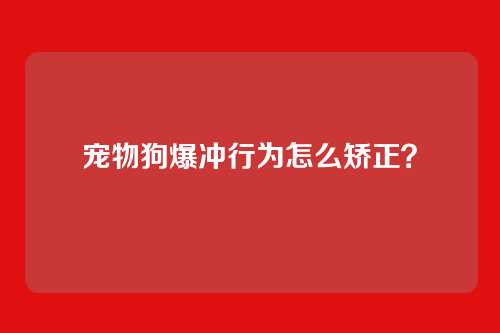 宠物狗爆冲行为怎么矫正？