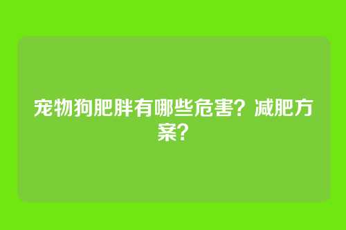 宠物狗肥胖有哪些危害？减肥方案？