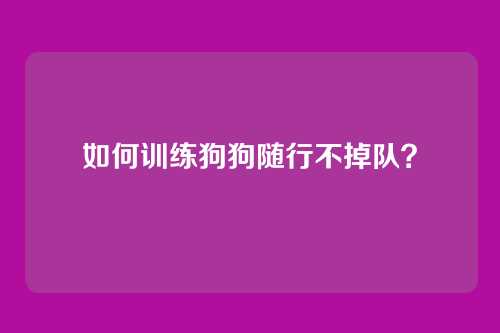如何训练狗狗随行不掉队？