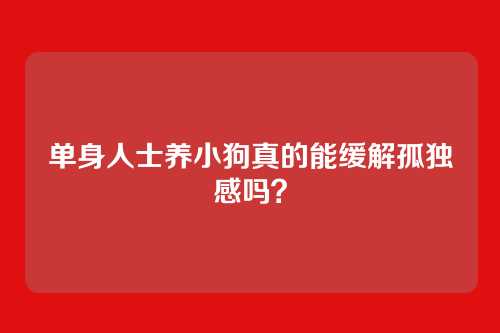 单身人士养小狗真的能缓解孤独感吗？