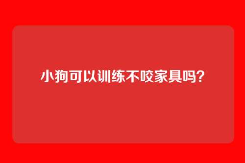 小狗可以训练不咬家具吗？