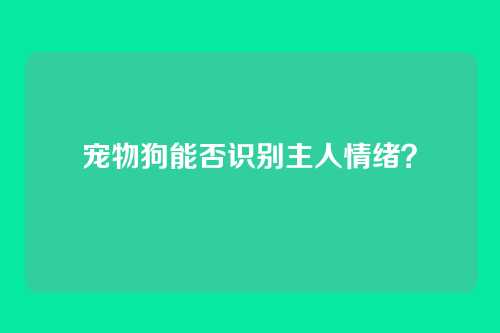 宠物狗能否识别主人情绪？