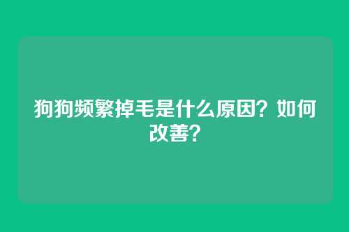 狗狗频繁掉毛是什么原因？如何改善？