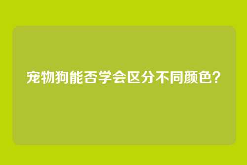 宠物狗能否学会区分不同颜色？