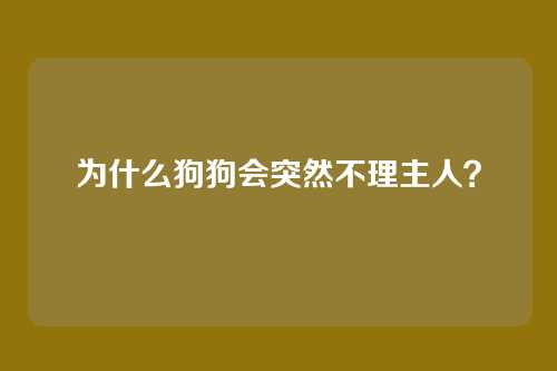 为什么狗狗会突然不理主人？