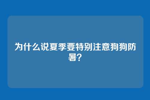 为什么说夏季要特别注意狗狗防暑？