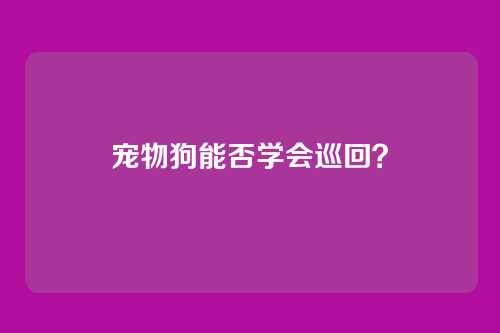 宠物狗能否学会巡回？