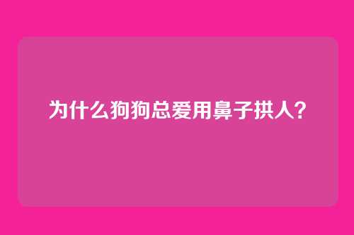 为什么狗狗总爱用鼻子拱人？