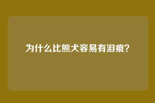 为什么比熊犬容易有泪痕？