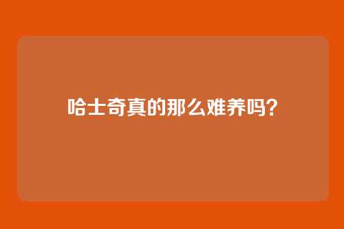 哈士奇真的那么难养吗？