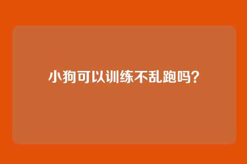 小狗可以训练不乱跑吗？