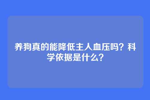 养狗真的能降低主人血压吗？科学依据是什么？