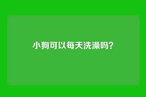 小狗可以每天洗澡吗？