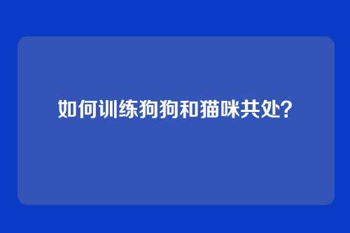 如何训练狗狗和猫咪共处？