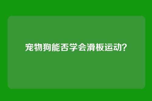 宠物狗能否学会滑板运动？