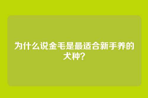 为什么说金毛是最适合新手养的犬种？