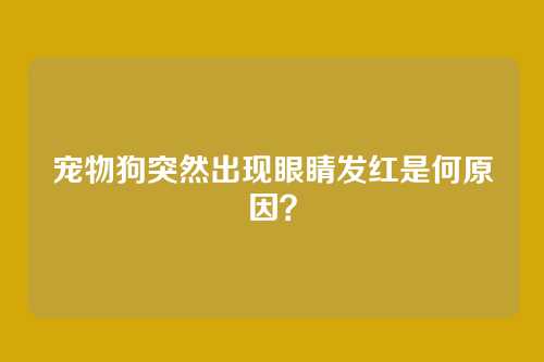 宠物狗突然出现眼睛发红是何原因？