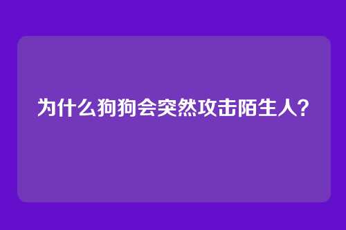 为什么狗狗会突然攻击陌生人？