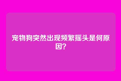 宠物狗突然出现频繁摇头是何原因？
