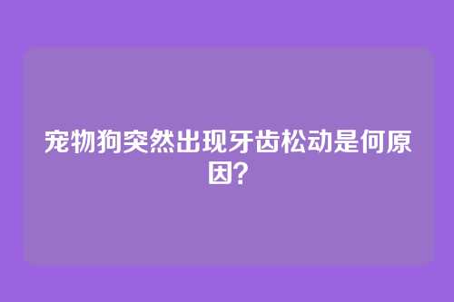宠物狗突然出现牙齿松动是何原因？