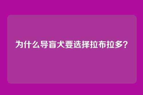为什么导盲犬要选择拉布拉多？
