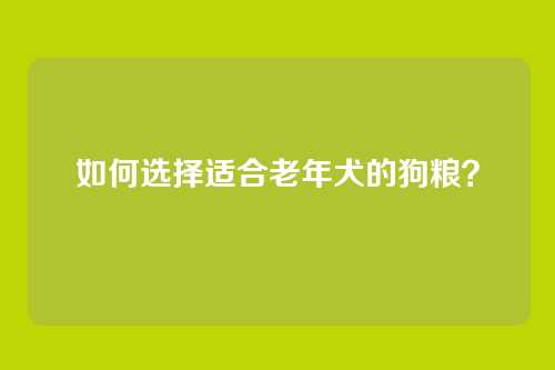 如何选择适合老年犬的狗粮？