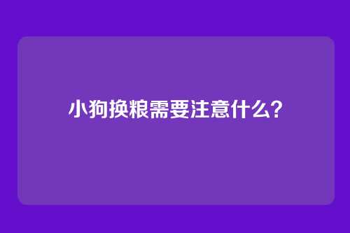 小狗换粮需要注意什么？