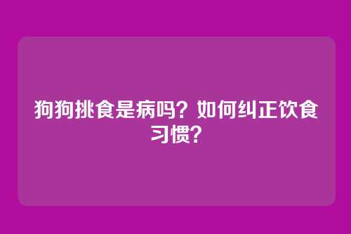 狗狗挑食是病吗？如何纠正饮食习惯？