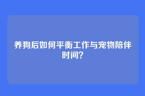 养狗后如何平衡工作与宠物陪伴时间？