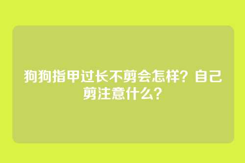 狗狗指甲过长不剪会怎样？自己剪注意什么？