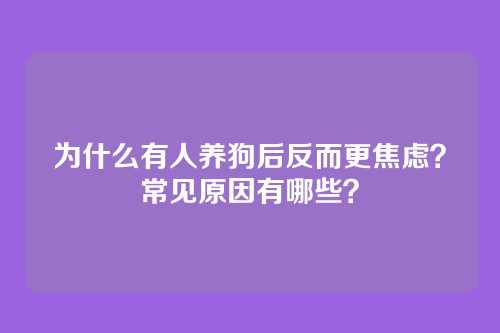 为什么有人养狗后反而更焦虑？常见原因有哪些？