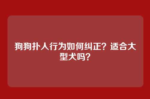 狗狗扑人行为如何纠正？适合大型犬吗？