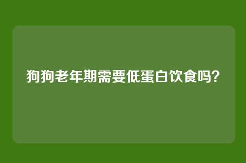 狗狗老年期需要低蛋白饮食吗？