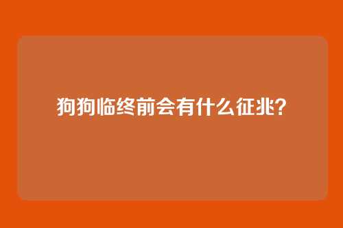 狗狗临终前会有什么征兆？