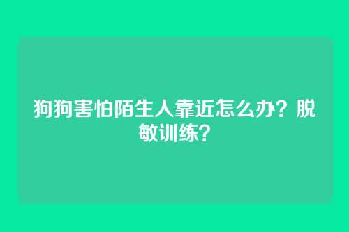 狗狗害怕陌生人靠近怎么办？脱敏训练？