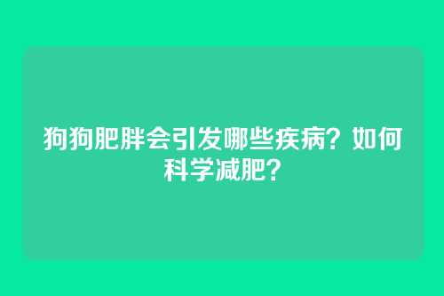 狗狗肥胖会引发哪些疾病？如何科学减肥？