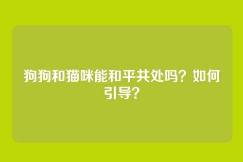 狗狗和猫咪能和平共处吗？如何引导？