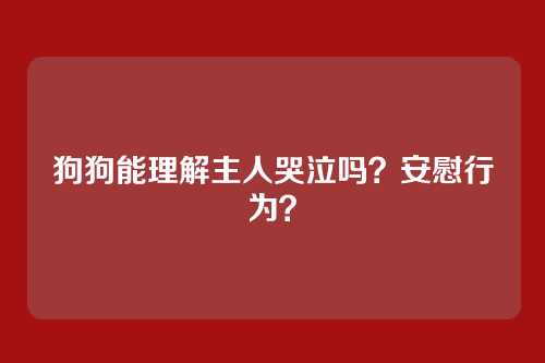 狗狗能理解主人哭泣吗？安慰行为？