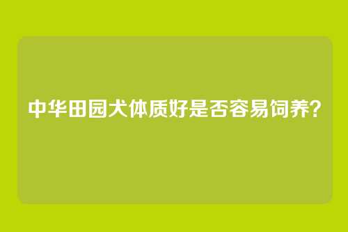 中华田园犬体质好是否容易饲养？
