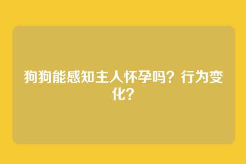 狗狗能感知主人怀孕吗？行为变化？