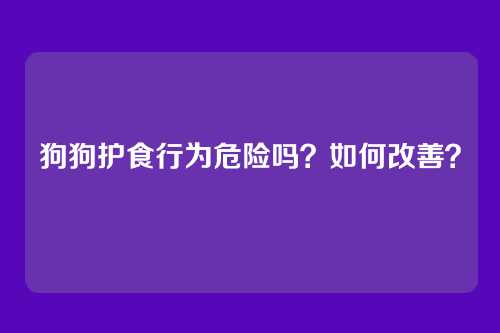 狗狗护食行为危险吗？如何改善？